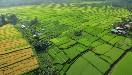 agricultural revolution in lampung