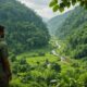 deforestation concerns in indonesia