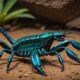 new scorpion species discovered