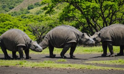 komodo national park unesco heritage