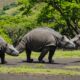 komodo national park unesco heritage